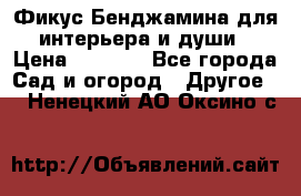 Фикус Бенджамина для интерьера и души › Цена ­ 2 900 - Все города Сад и огород » Другое   . Ненецкий АО,Оксино с.